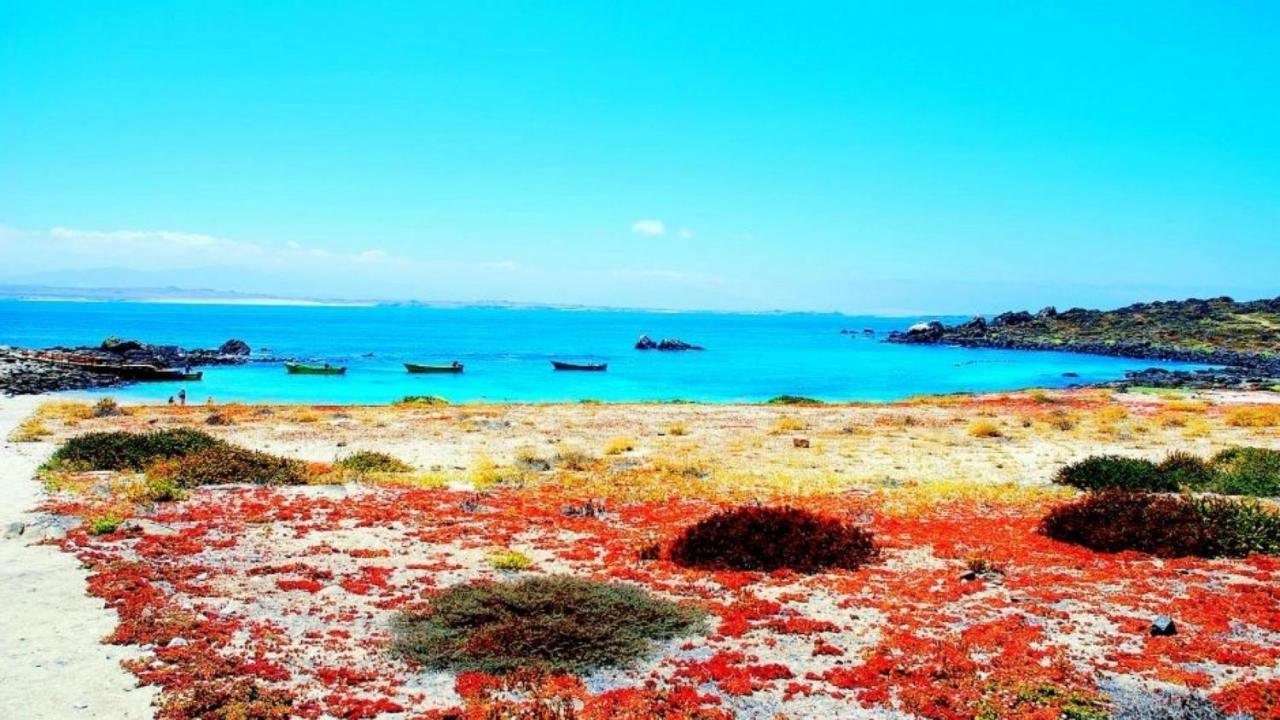 Jardin Del Mar & Enjoy Coquimbo