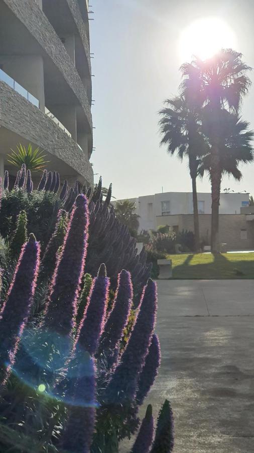 Jardin Del Mar & Enjoy Coquimbo